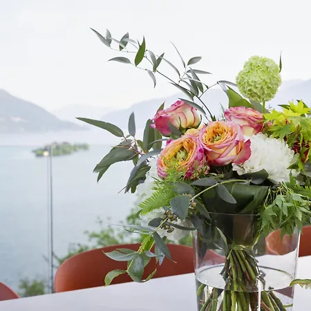 Garden By Interhome Appartement